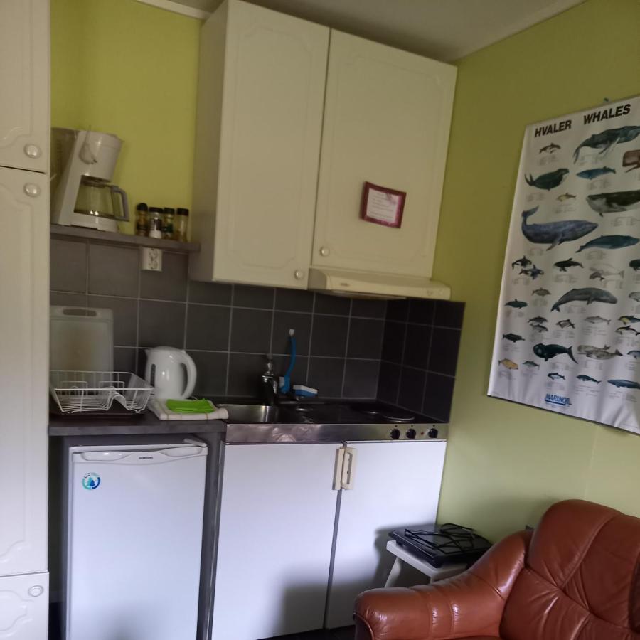 Milas House Two Apartments Fredvang Ngoại thất bức ảnh